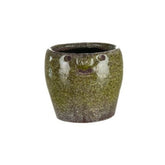 Pot Face Forest - Blooms and Beans- The Mob Collective